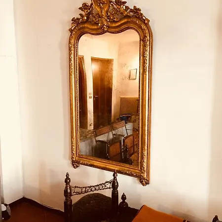 Carraresi * Trévise
